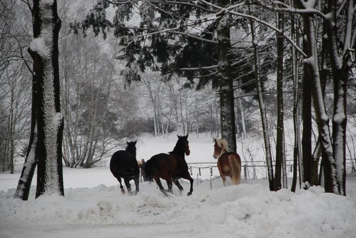 Veverci Dvur Hotel Rosec Buitenkant foto