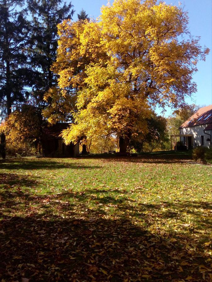 Veverci Dvur Hotel Rosec Buitenkant foto